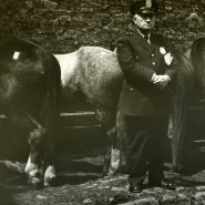 Policeman with horse, Horse Auction, NYC, 1947