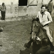 Auctioneer with man on horse, Horse Auction, NYC, 1947