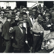 horseauction-bymorrisengel-auctioneer